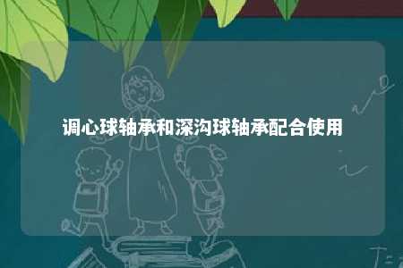 调心球轴承和深沟球轴承配合使用 